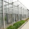 Industrial Ventilation Exhaust Fans For Greenhouse